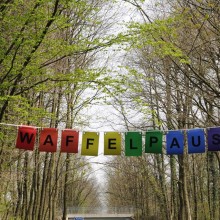 Waffelpause1